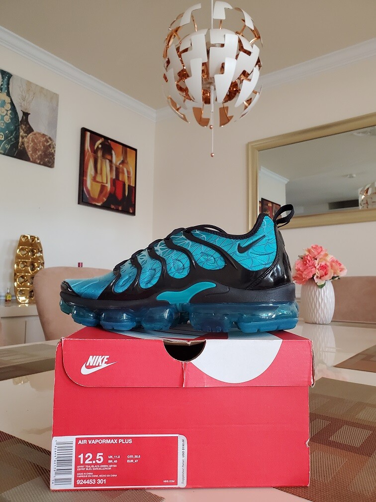Nike Air VaporMax Plus Spirit Teal Max 